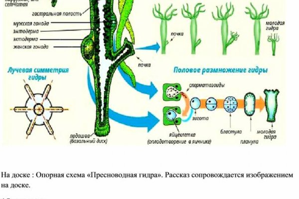 Блэкспрут онион ссылка на тор